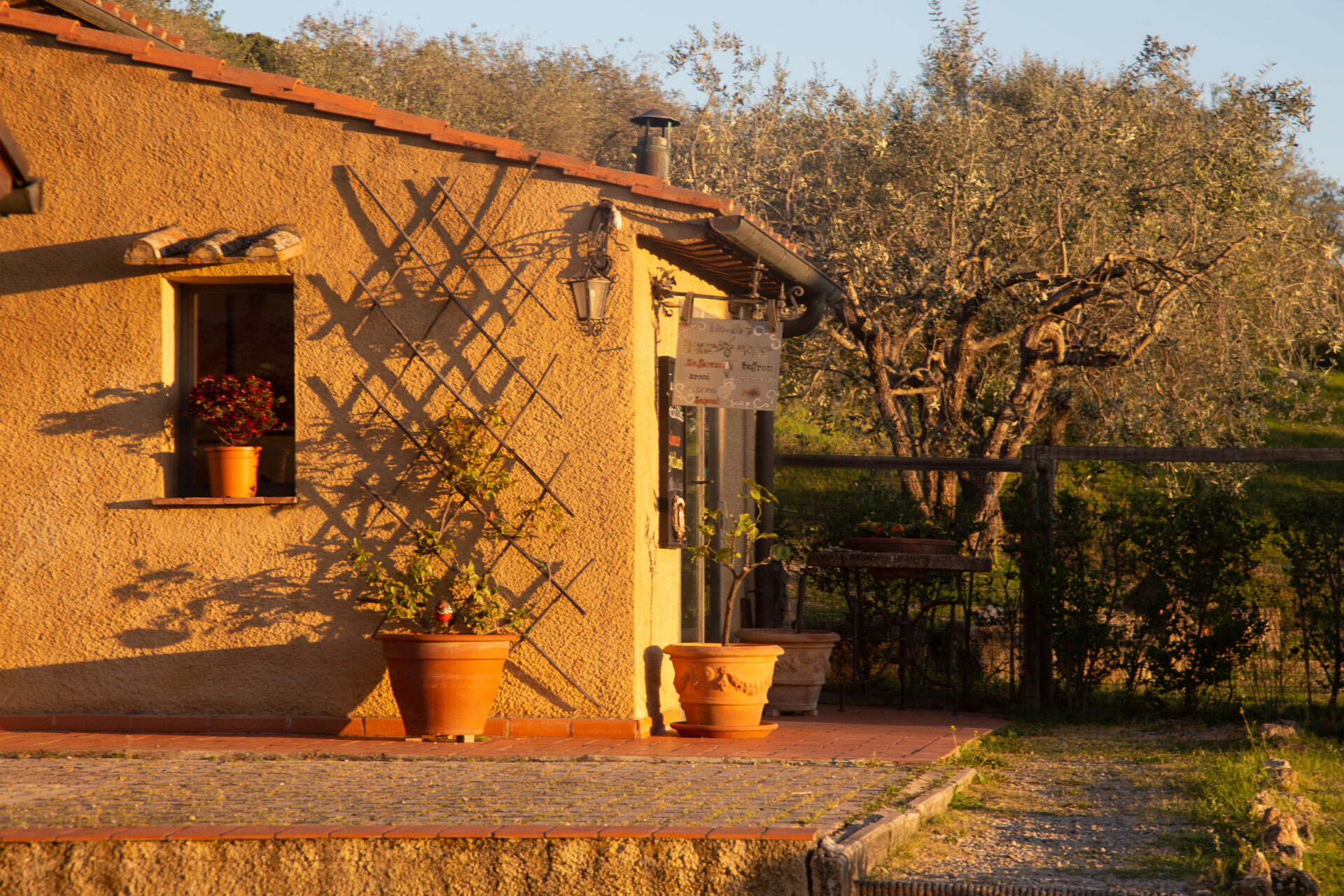 Agriturismo il castagnolino